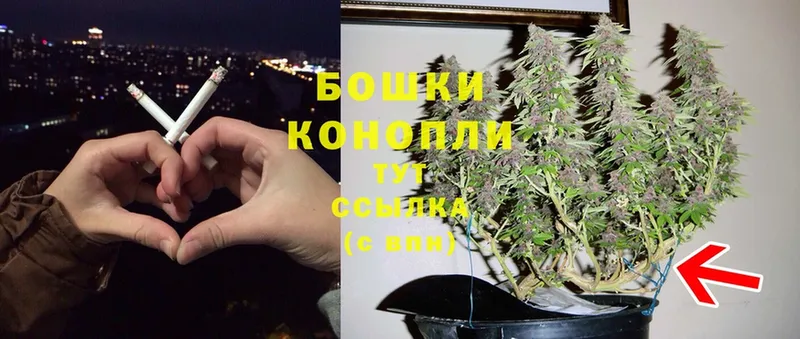 Бошки Шишки White Widow  Верхнеуральск 